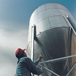 Bulk Feed Products